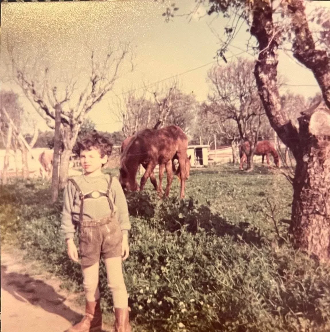 With the horses at Vila Carlota, around 1984