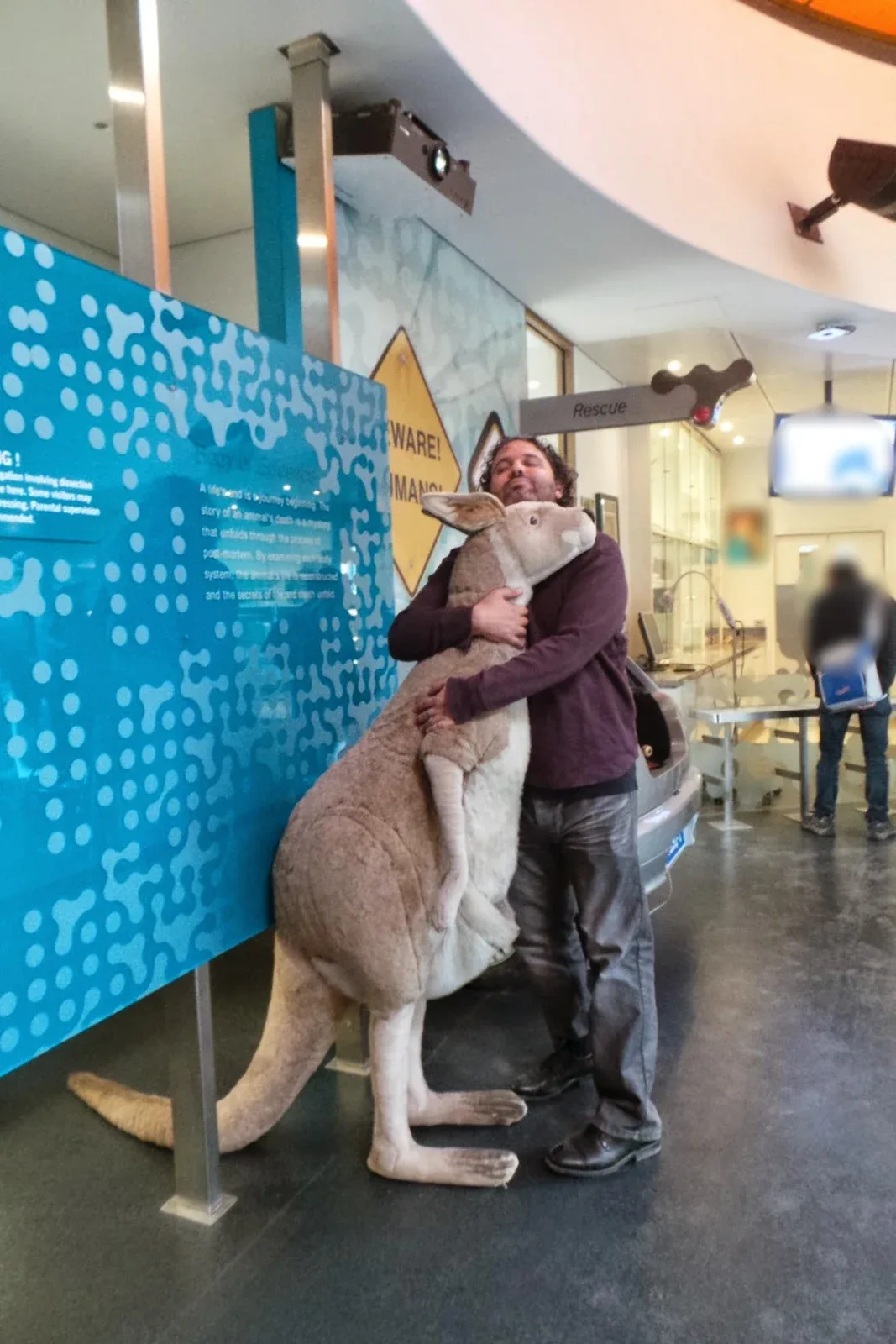 A kangaroo hug